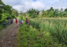 Wujudkan Akses Kebun yang Bersih dan Aman, Babinsa Koramil 1418-05/Kalumpang Gelar Karya Bakti Bersama Warga Salutiwo