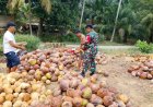 Komsos Humanis, Babinsa Desa karya Bersama Motivasi Pelaku Usaha Kopra