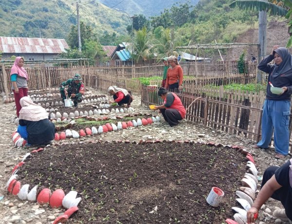 Pimpin Olah Lahan, Babinsa Koramil 1401-02/Pamboang Gerakkan KWT Desa Adolang Dhua Sukseskan Ketahanan Pangan