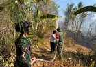 Satgas Karhutla Kodim Polman Padamkan Kebakaran 2 Hektare Kebun Kakao dan Jati