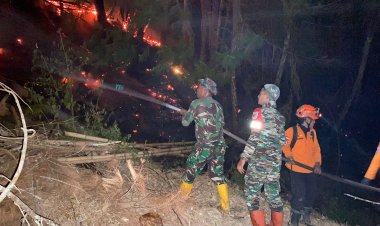 Semangat Pantang Menyerah, Personel Kodim 1428/Mamasa Sigap Tangani Karhutlah